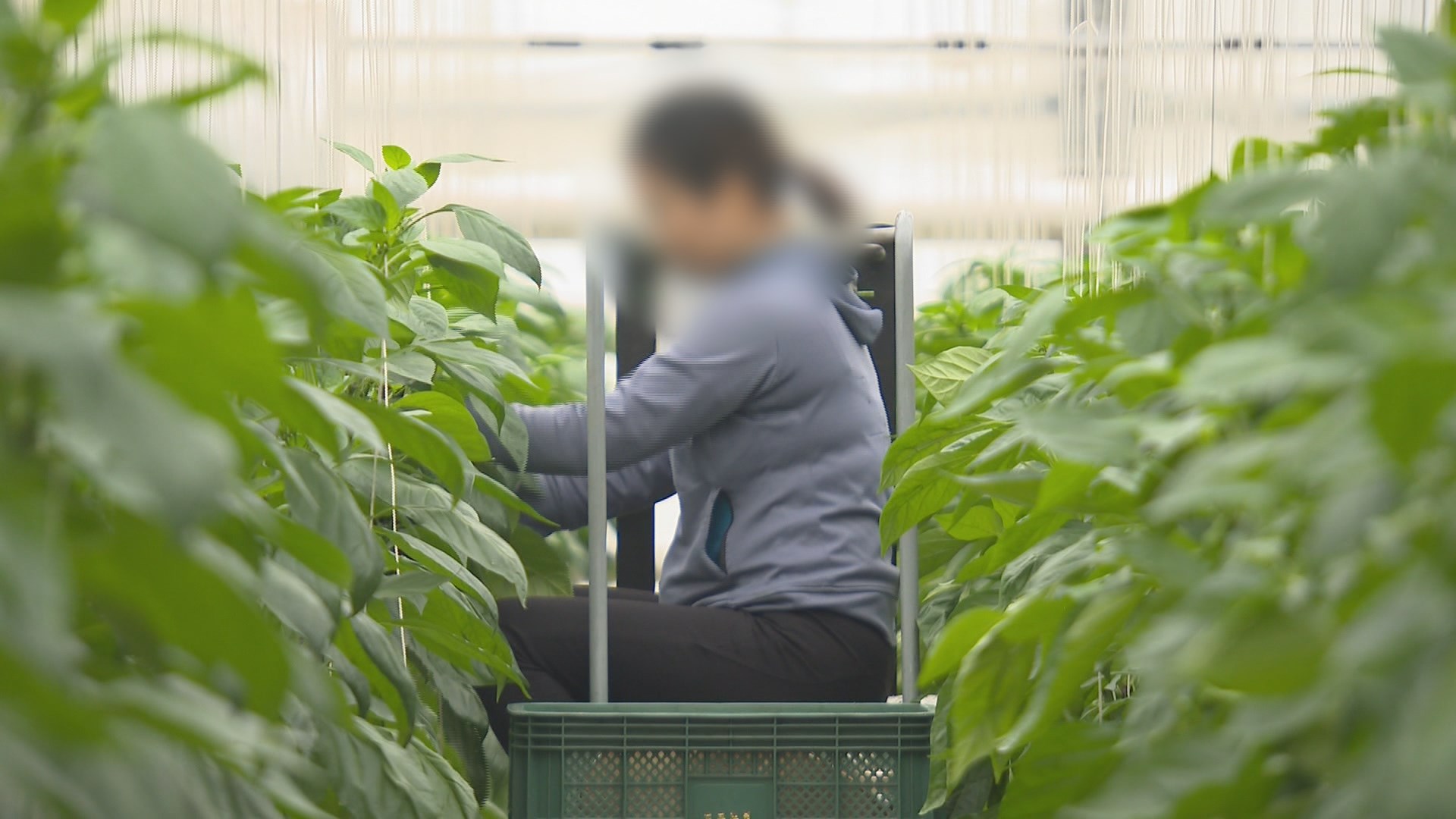 외국인 근로자, 가족온라인카지노 알파벳 줄고…본인계좌 <em class='find'온라인카지노 알파벳</em 늘어