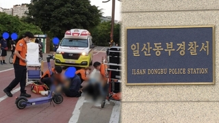 [단독] '일산 킥라니' 무면허 혐의 추가…경찰 "법상 도로" 결론