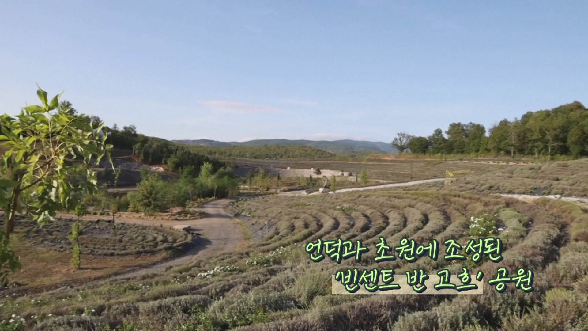 [지구촌톡톡] 보스니아 공원에 조성된 온라인카지노 후기 유니벳의 '별이 빛나는 밤'