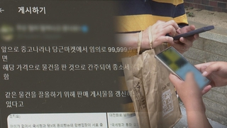 중고거래 '큰 손'도 세금 낸다…연매출 평균 4,700만 원