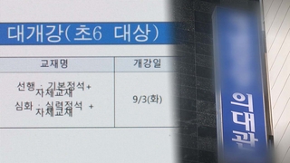 "초등생에게 고등과정"…단속 비웃는 초등의대반 광고