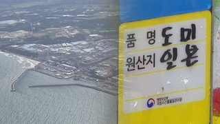 '방사능 초과' 수산물 없지만…정부 감시 강화