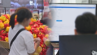 2분기 '가계 실질소득' 소폭 늘었지만…적자가구 비중↑