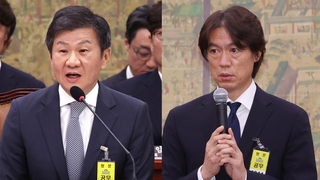 문체위 집중 난타에도 정몽규·홍명보 "특혜 없었다"