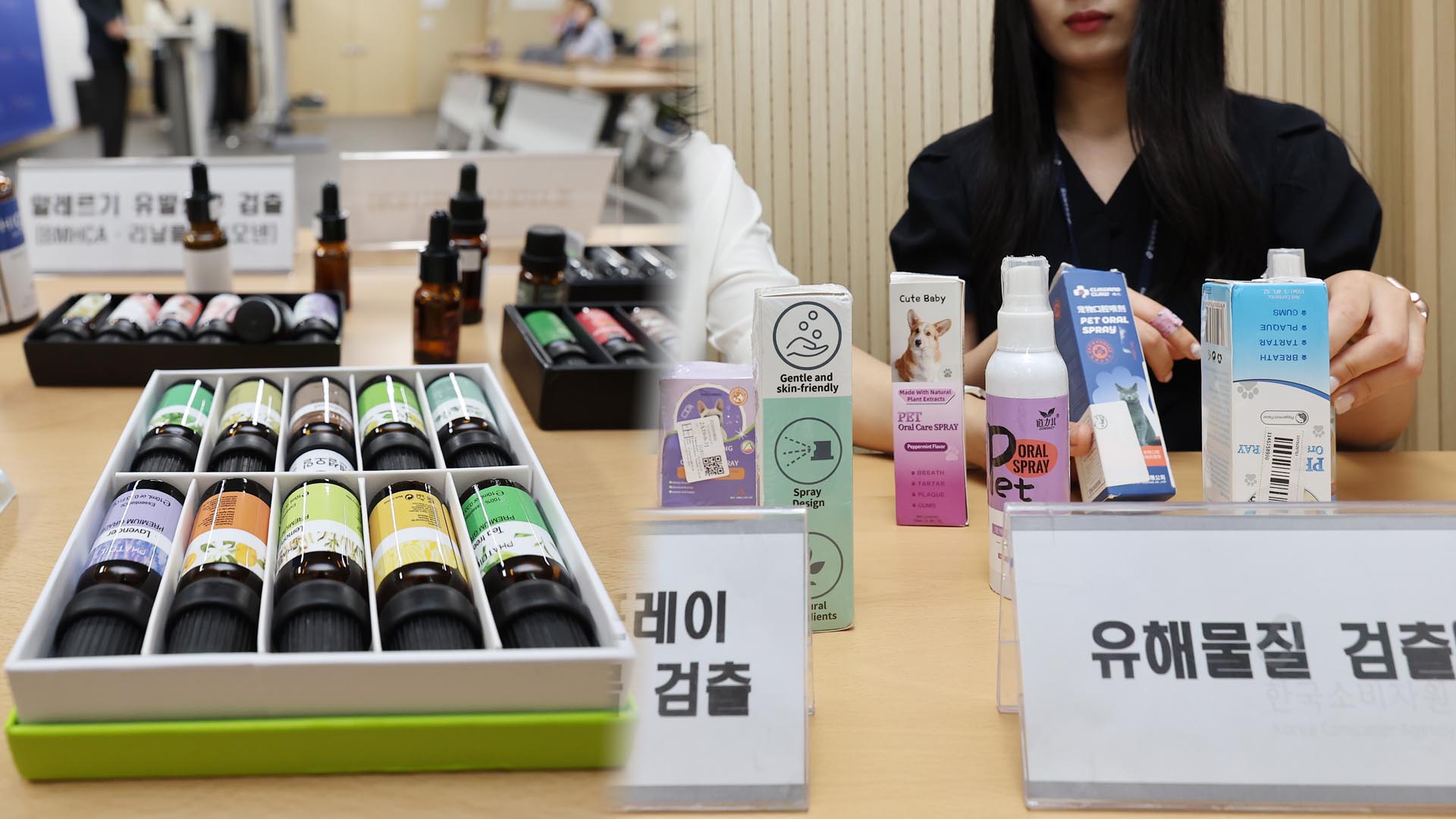 온라인카지노 벌금 벳엔드·테무 믿을 수 있나…반려동물용품서 유해물질 속출