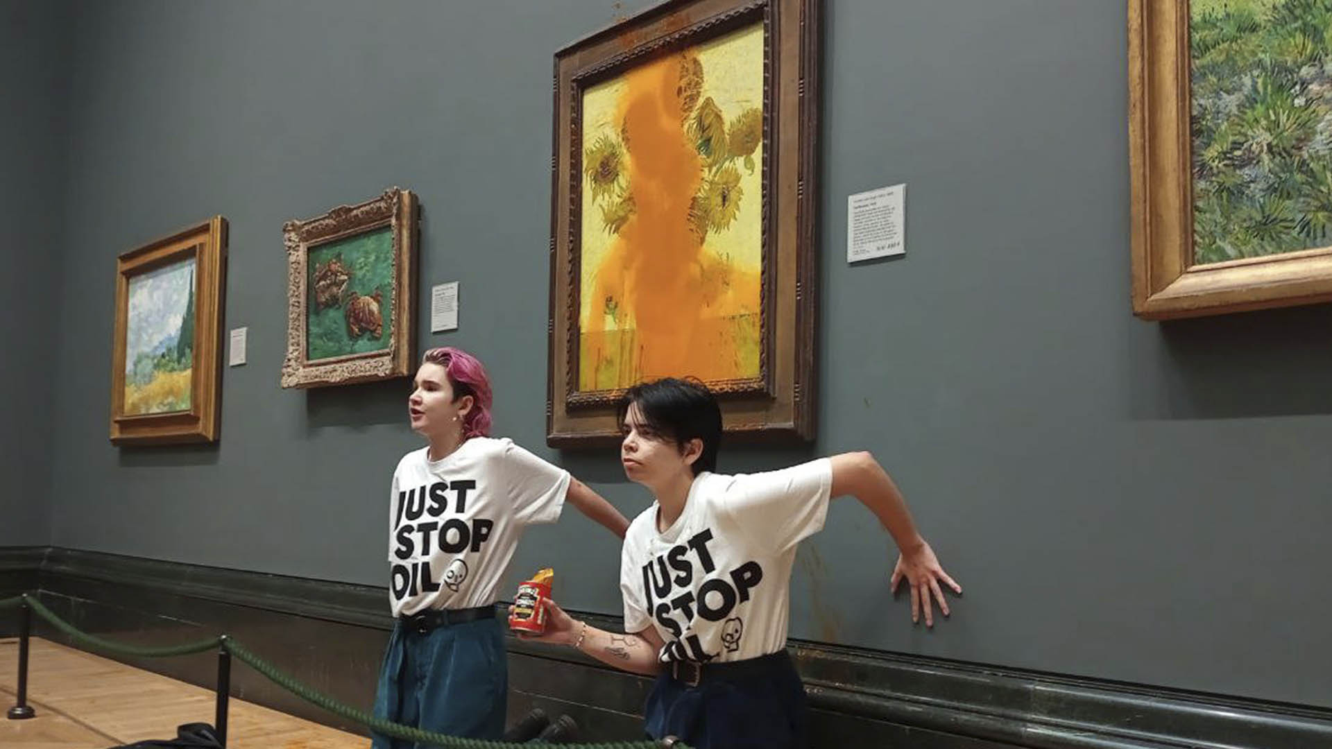 <em class='find'반온라인카지노 후기 유니벳</em '해바라기' 또 수난…환경운동가들 수프 투척