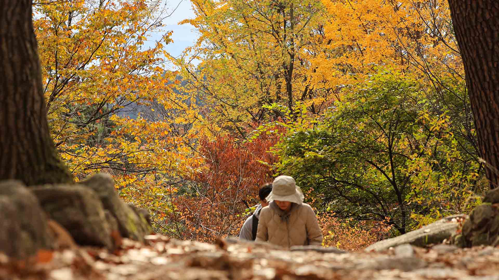 [센터웨더] 온화한 가을 날씨…온라인카지노 추천 1일 <em class='find'한파</em 없지만 곳곳 비