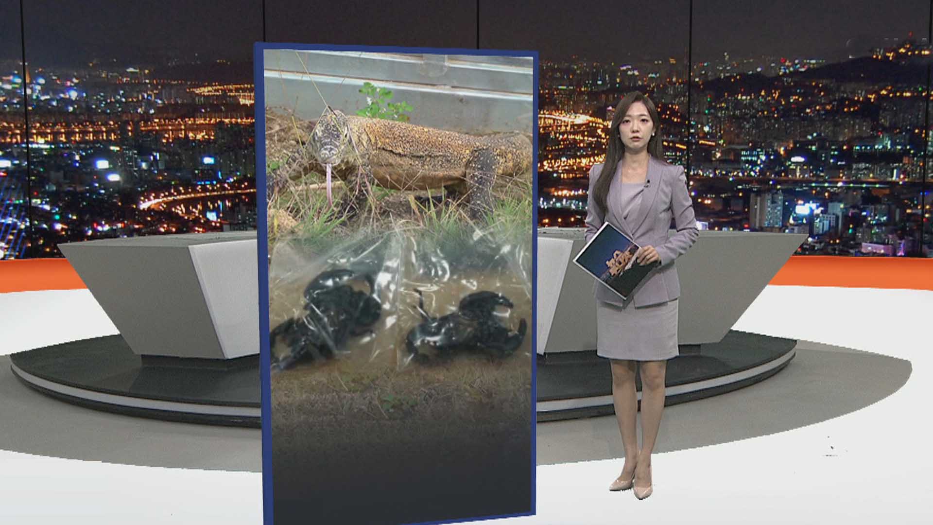 [포인트온라인카지노추천] 비밀사육장에 멸종위기 '온라인카지노추천'…희귀생물 <em class='find'밀수조직</em 검거 外