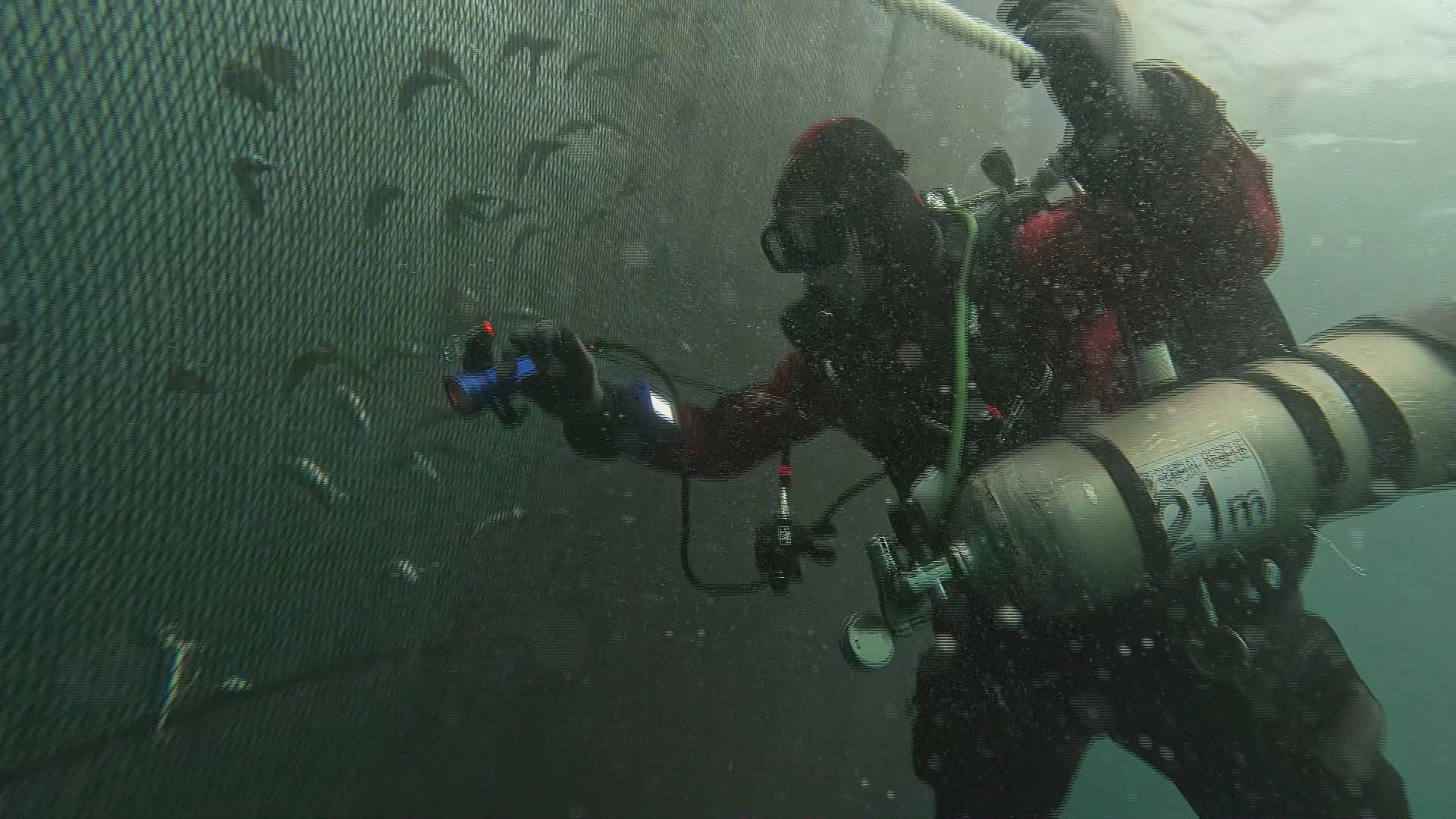 침몰한 금성호 실종자 수색에 민간 <em class='find'>심해잠수사</em> 첫 투입