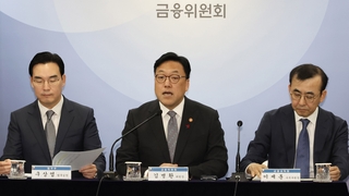 상법 대신 자본시장법 개정 택한 정부…"주주 보호 실효적"