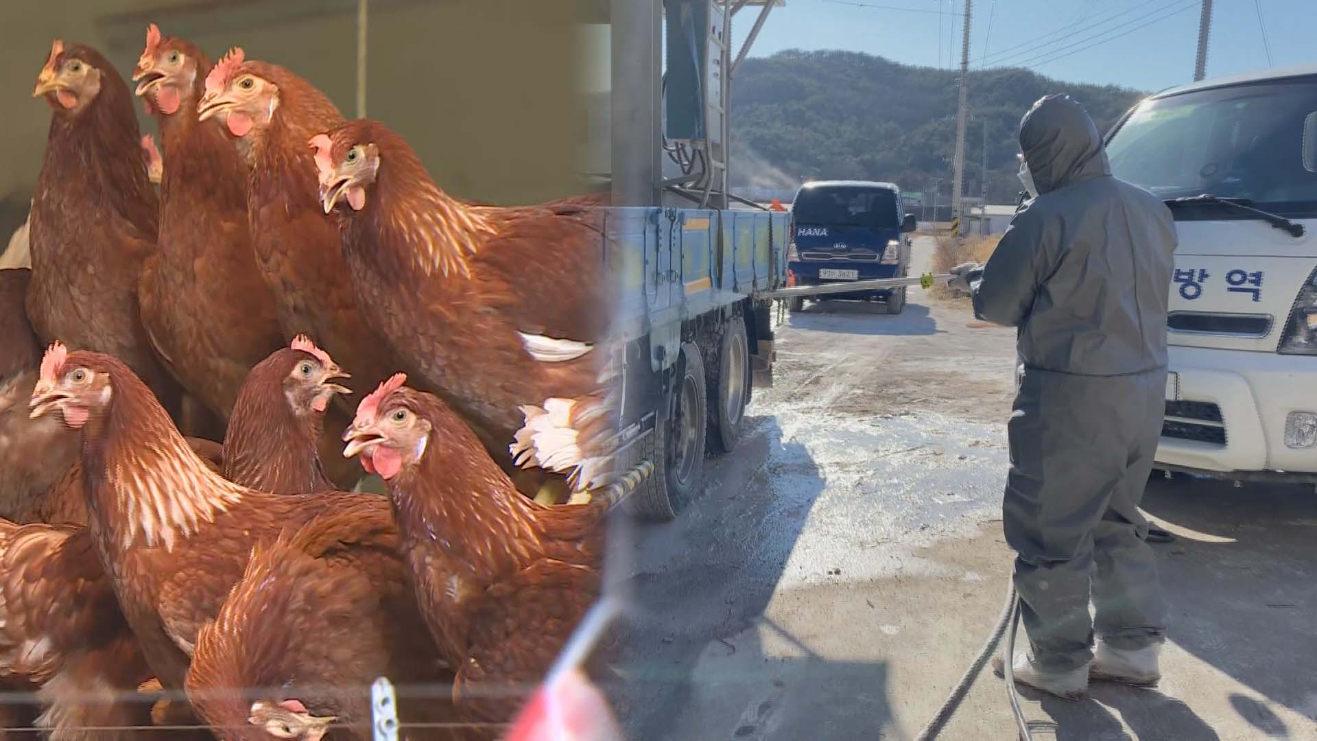 정부, <em class='find'고병원성</em <em class='find'온라인카지노 총판 벳위즈</em 발생 예방 총력