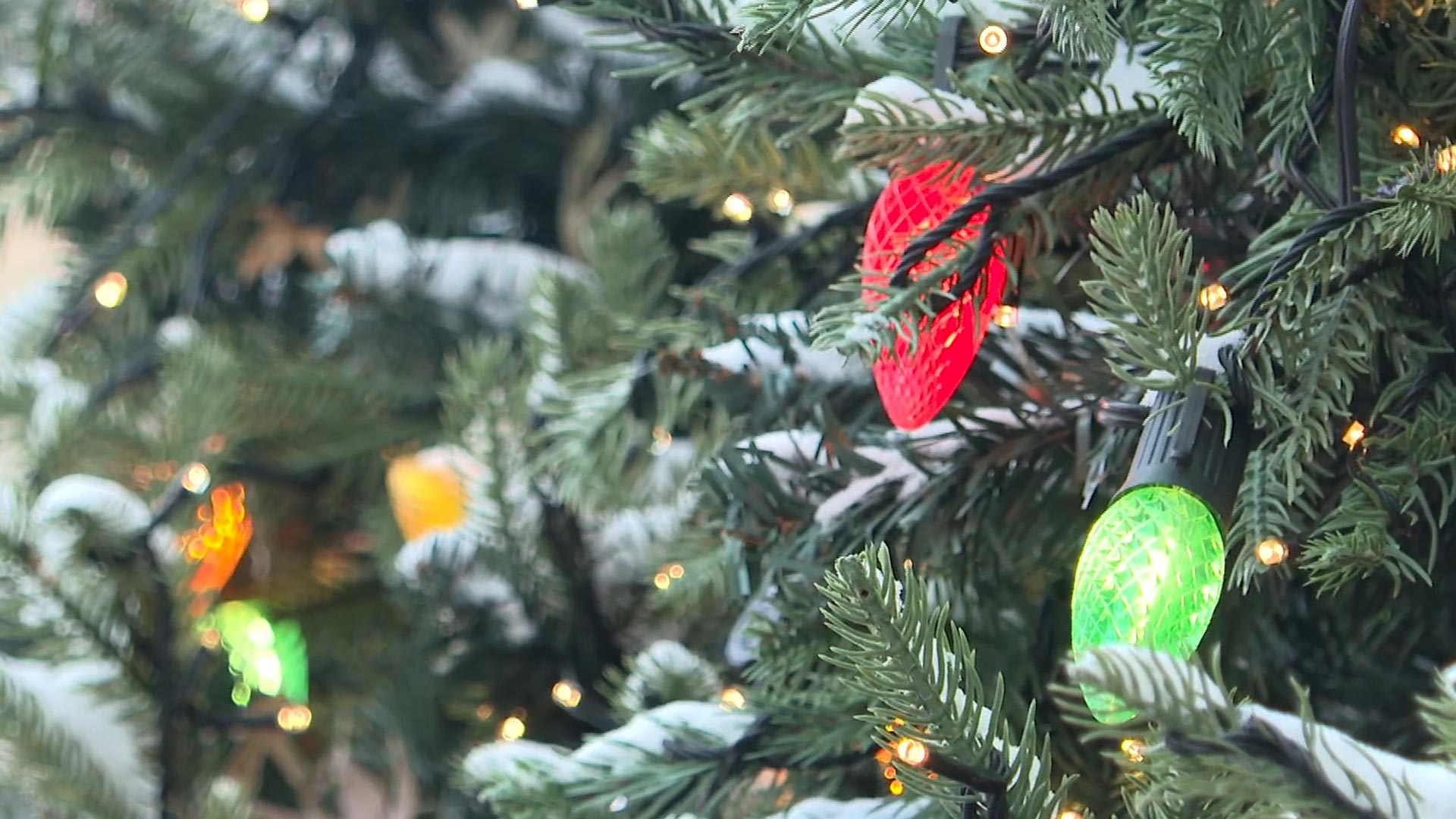 작년에는 함박눈…올해도 '<em class='find'화이트</em <em class='find'온라인카지노 게임</em' 될까?