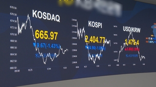 정국 혼란에 환율 '롤러코스터'…하루 새 20원 등락