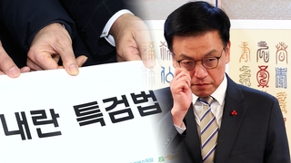 또 국회 돌아온 '내란 특검법'…"반드시 폐기" "재표결 추진"
