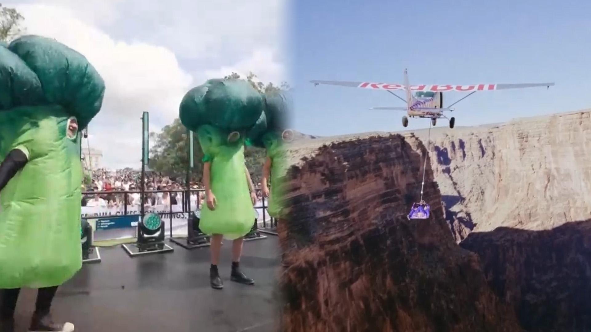 [지구촌톡톡] 더 재미있고! 더 빠르게! 무동력 차량 경주대회