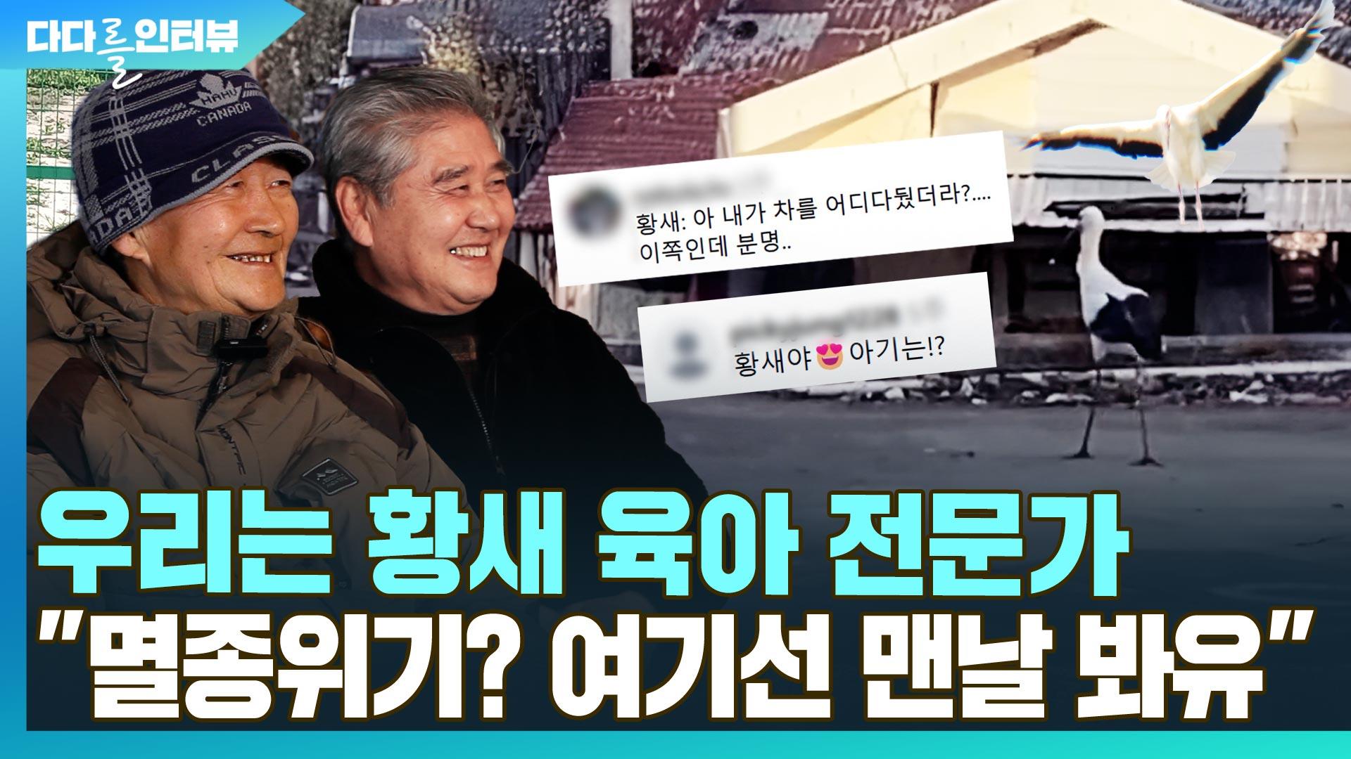 [다다를 인터뷰] 우리는 황새 육아 전문가…"멸종위기? 여기선 맨날 봐유"