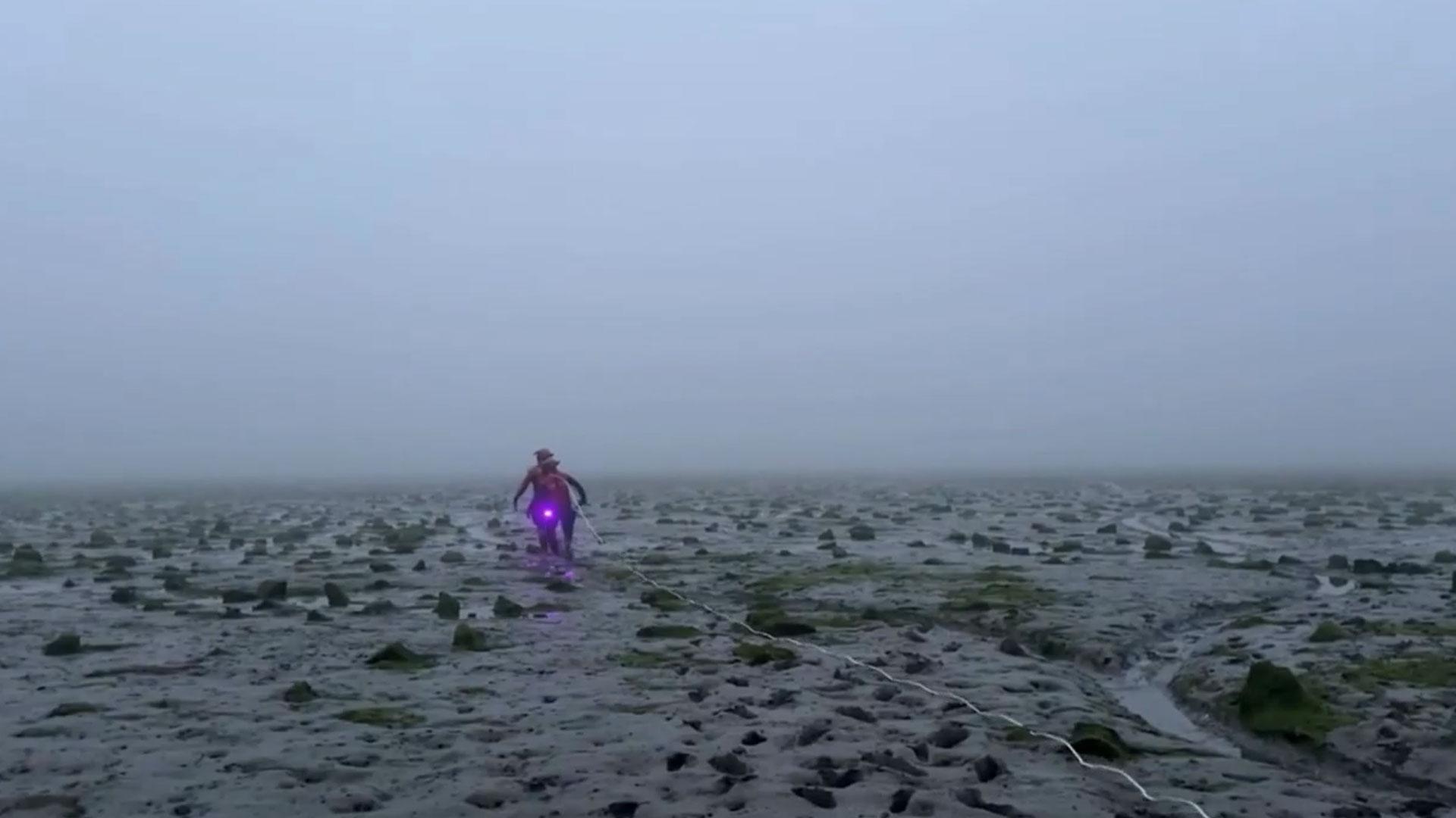 해남서 <em class='find'굴</em 따러간 부부 온라인카지노 후기…남편 숨진채 발견
