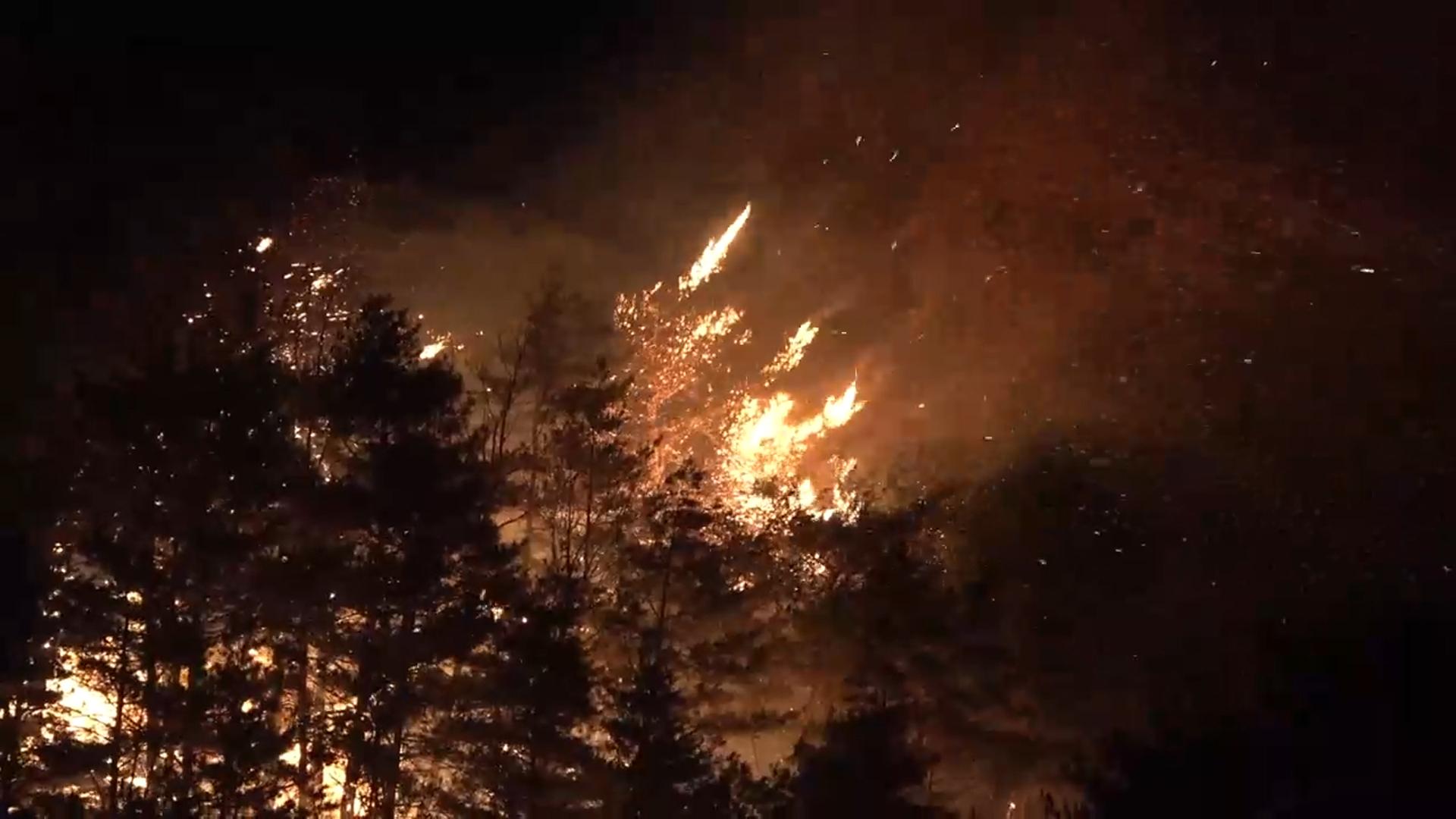 온라인카지노 라이센스 벳엔드 우습게 봤다 '패가망신'…억대 배상에 징역까지