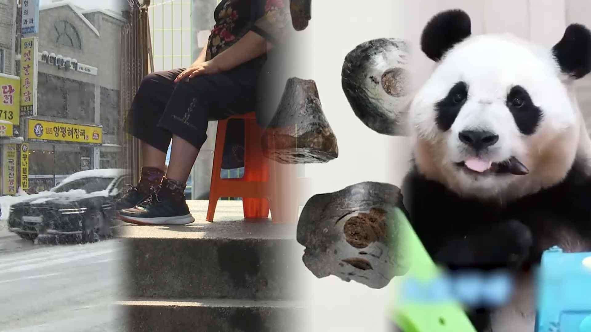 [핫클릭] 지난달 한파·폭설에 자동차보험 손해율 90% 육박 外