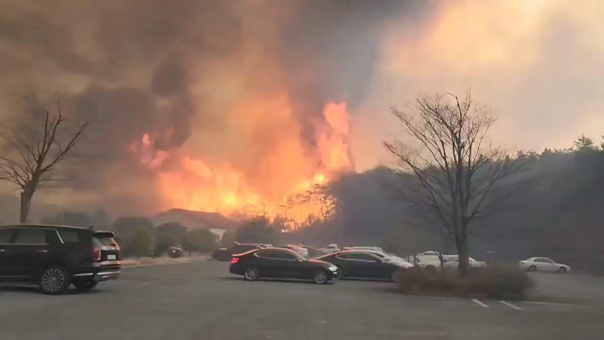 시뻘건 불길이 코앞까지 왔는데…'라운딩 강행' 안동 골프장 '뭇매'