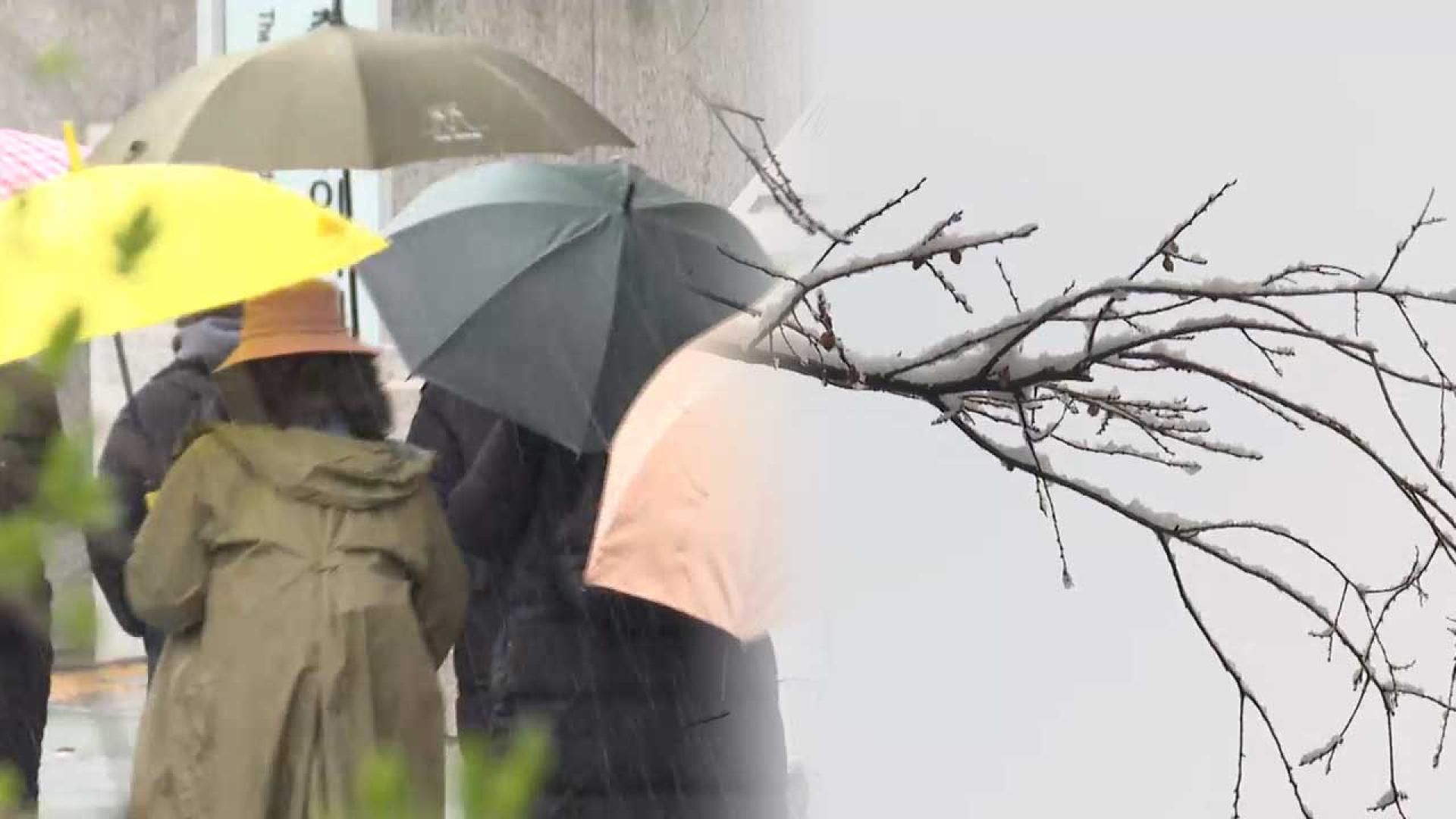 4월 코앞인데…매서운 꽃샘추위에 눈보라