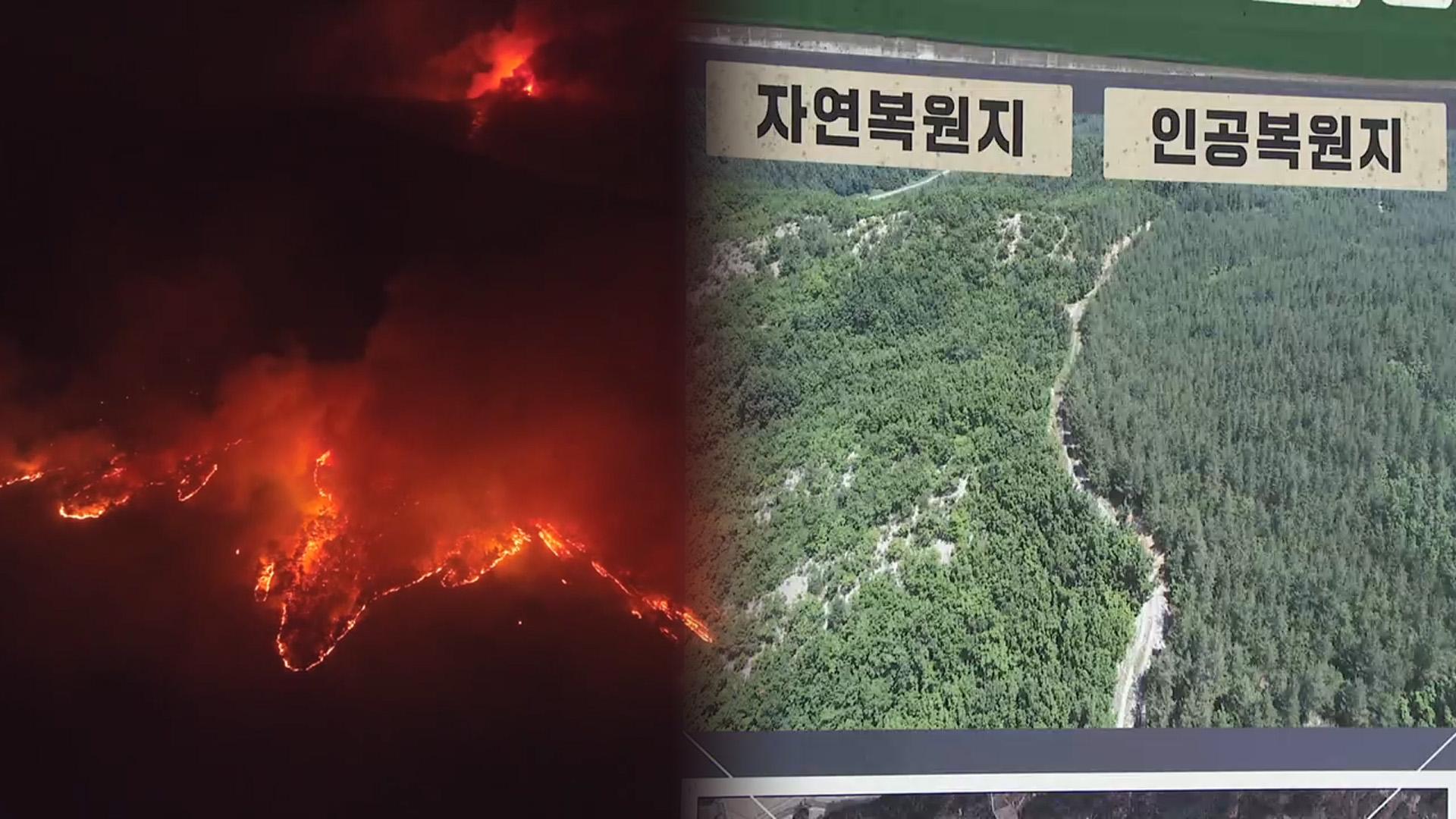 강원 고성해외 온라인카지노 벳무브 '30년'…"장기적 복원 플랜 수립돼야"