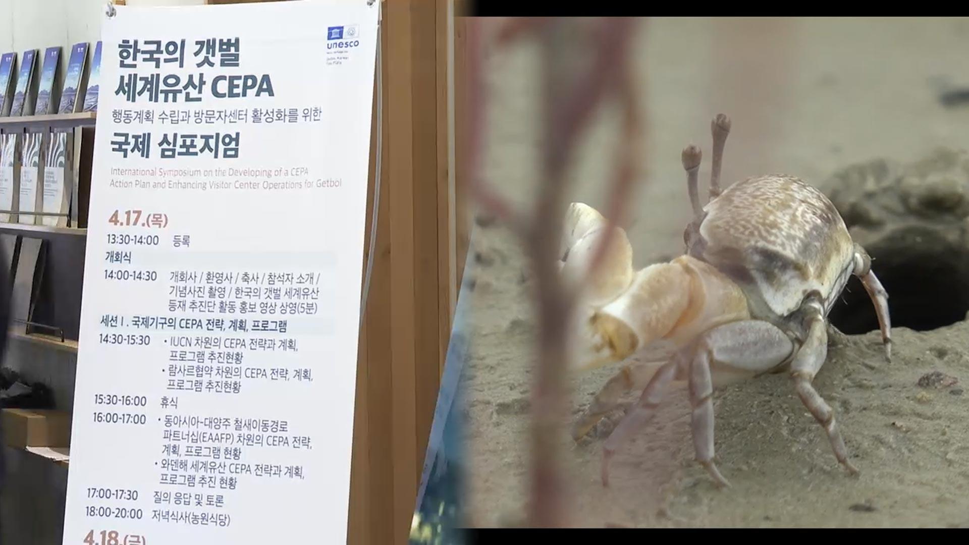 고창서 세계자연유산 '한국의 갯벌' 국제심포지엄