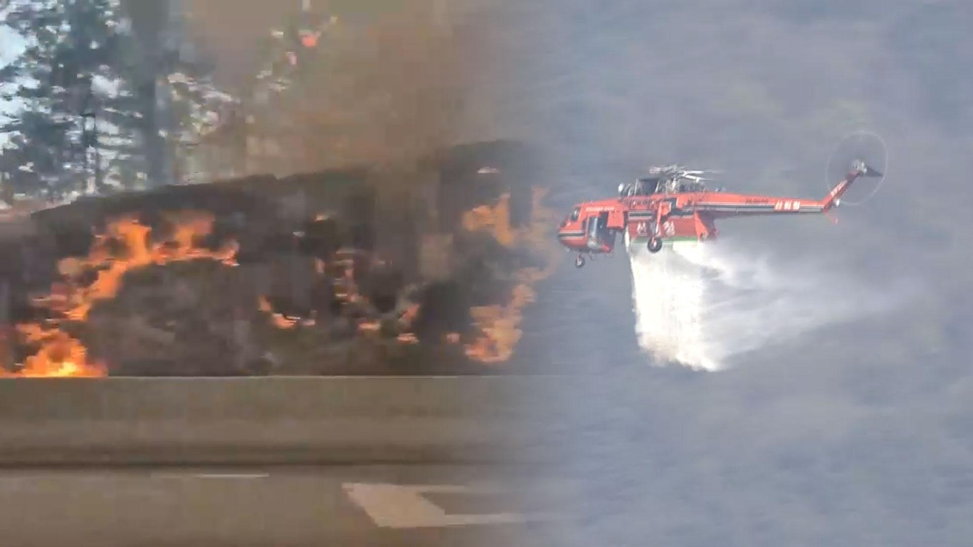 인제 온라인카지노 벌금 벳위즈, 강풍특보 속에도 피해 없이 20시간 만에 진화