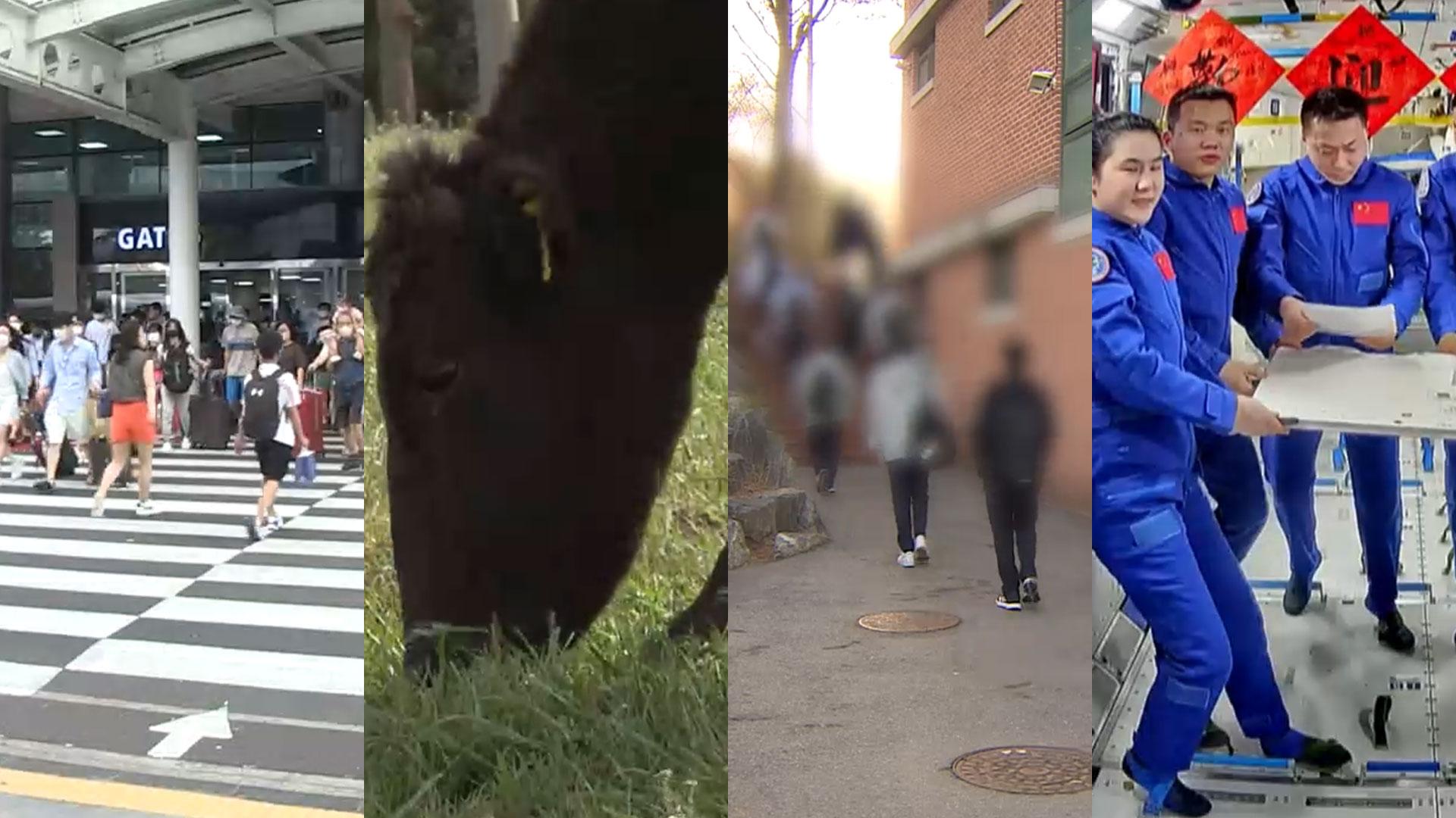 [핫클릭] 징검다리 연휴에 <em class='find'온라인카지노 후기 벳위즈</em 찾는 관광객 25만명 外