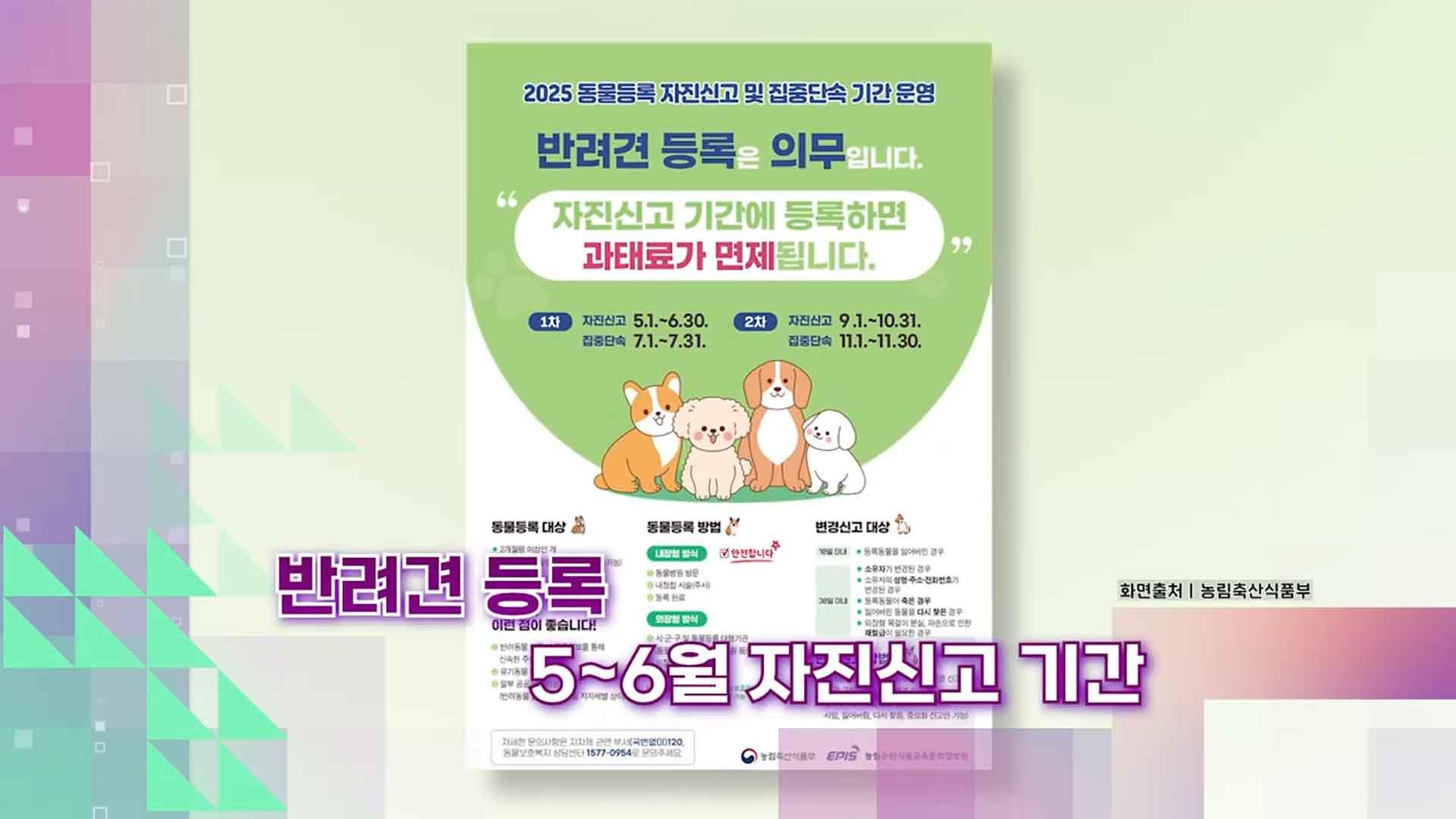 [슬기로운생활해외 온라인카지노 순위] 반려견 <em class='find'등록</em 자진신고 기간은 언제?