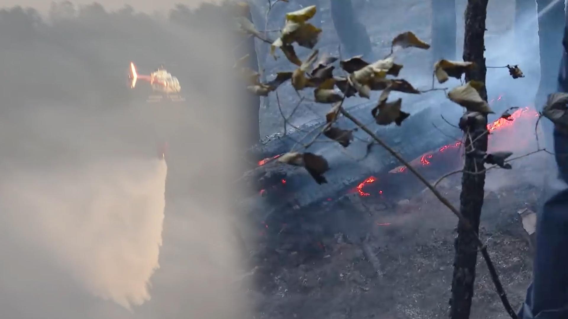 대구 북구 온라인카지노 총판 벳위즈 '잔불 정리' 돌입…"오후 단비 기대"