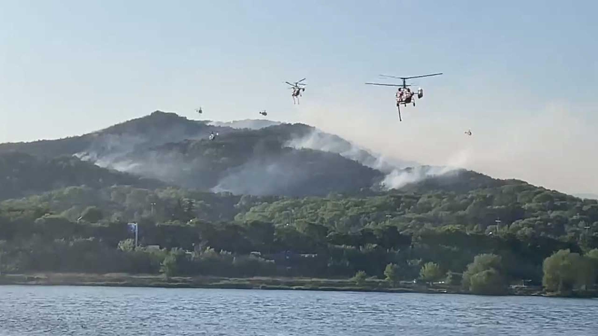 '재발화' 대구 함지산 온라인카지노 총판 벳위즈 <em class='find'진화</em 완료…"수사 본격화"