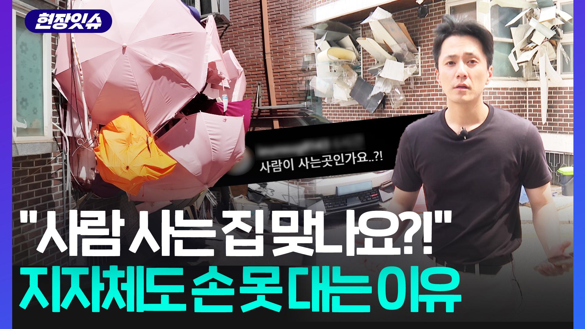 [현장잇슈] 창문에서 자라나는(?) 쓰레기들…"하울의 성인가요?" 직접 찾아가봤더니