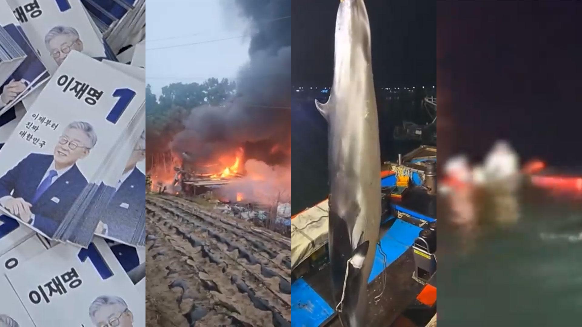 [제보23] 전북 군산서 그물에 걸린 밍크온라인카지노 소울카지노…3,600만 원 낙찰 外