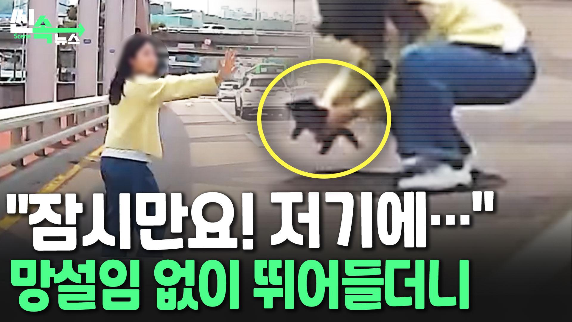 [씬속샌즈 카지노 사이트] "쌩쌩 달리는 도로 위에 새끼 고양이가?" 도로 위 나타난 <em class='find'샌즈 카지노 사이트</em <em class='find'영웅</em