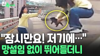 [씬속뉴스] "쌩쌩 달리는 도로 위에 새끼 고양이가?" 도로 위 나타난 시민 영웅
