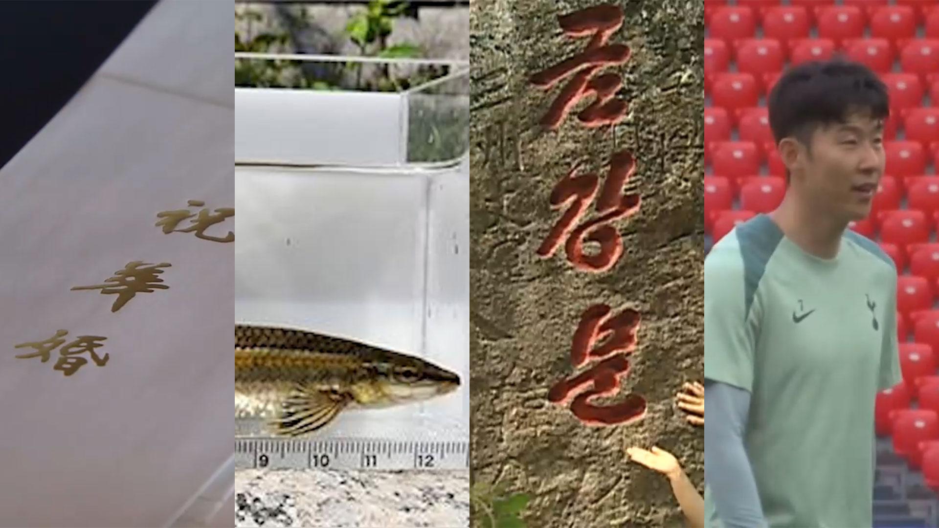 [핫클릭] 직장 동료 '결혼 축의금' 얼마?…10만원 1위 外