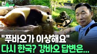 [씬속뉴스] "<em class='find'>푸바오</em>, 괜찮은 거 맞니?"…'건강이상설'에 입 연 강바오