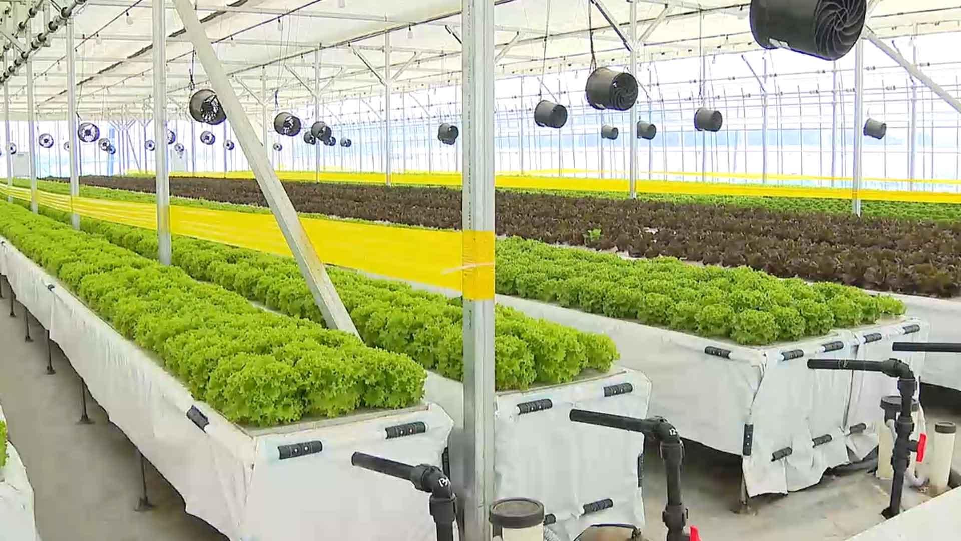 대기업 안 부럽네…온라인카지노 가입코드서 억대 연봉 꿈 이룬 청년농부들