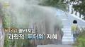 [연합뉴스TV 스페셜] 383회 :무더위 물리치는 과학적 ‘無더위’ 지혜