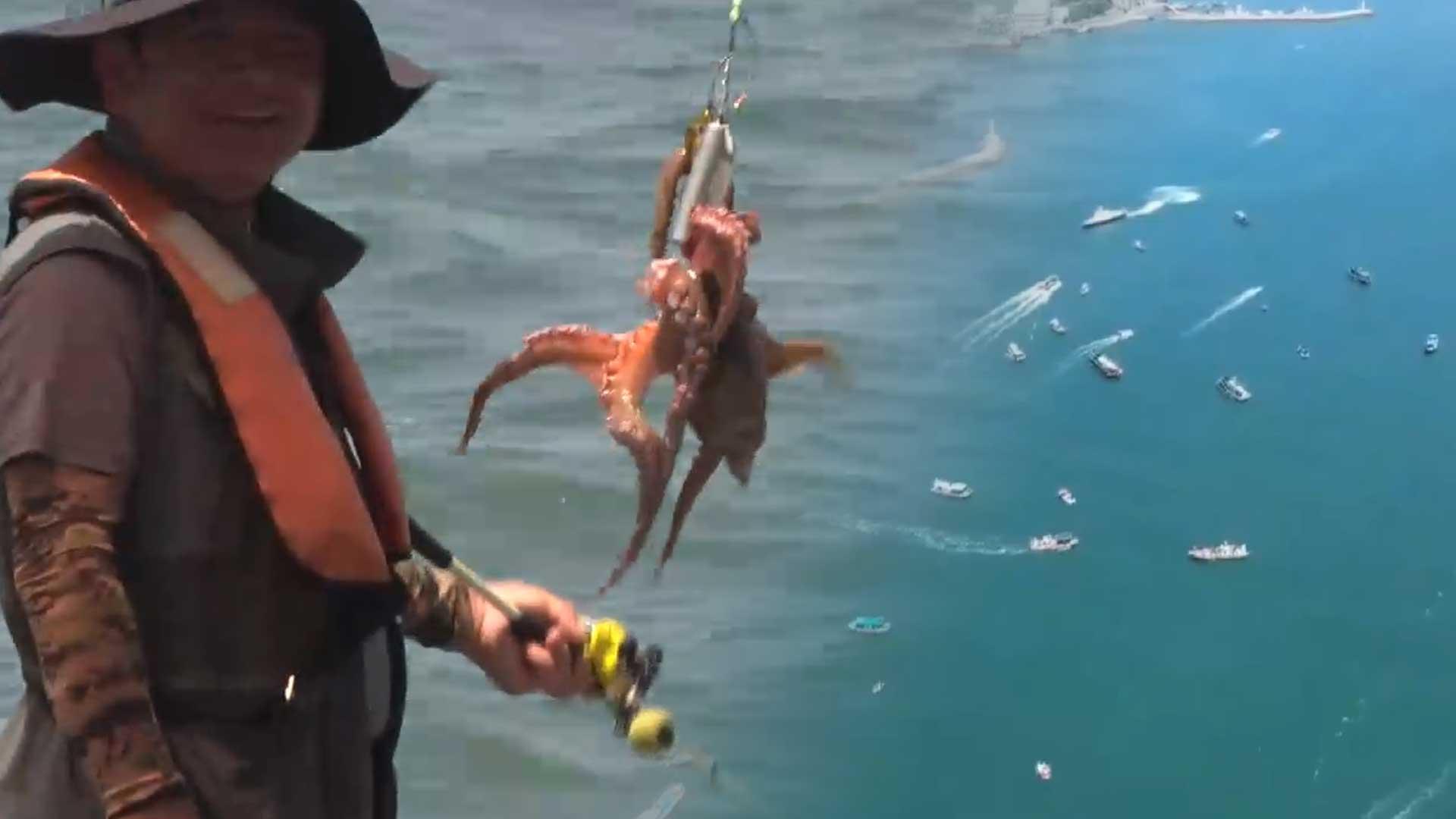 "문어 잡으러 가자"…금어기 해제에 낚시객 '북적'