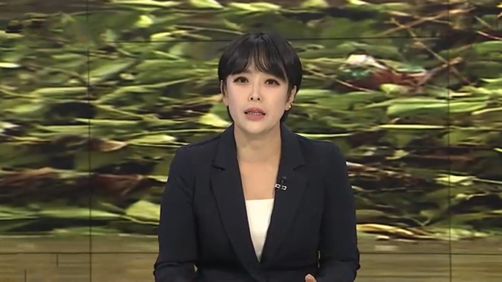[뉴스특보] 집중호우로 인명피해 4명…오늘도 남부 중심 '극한 호우'
