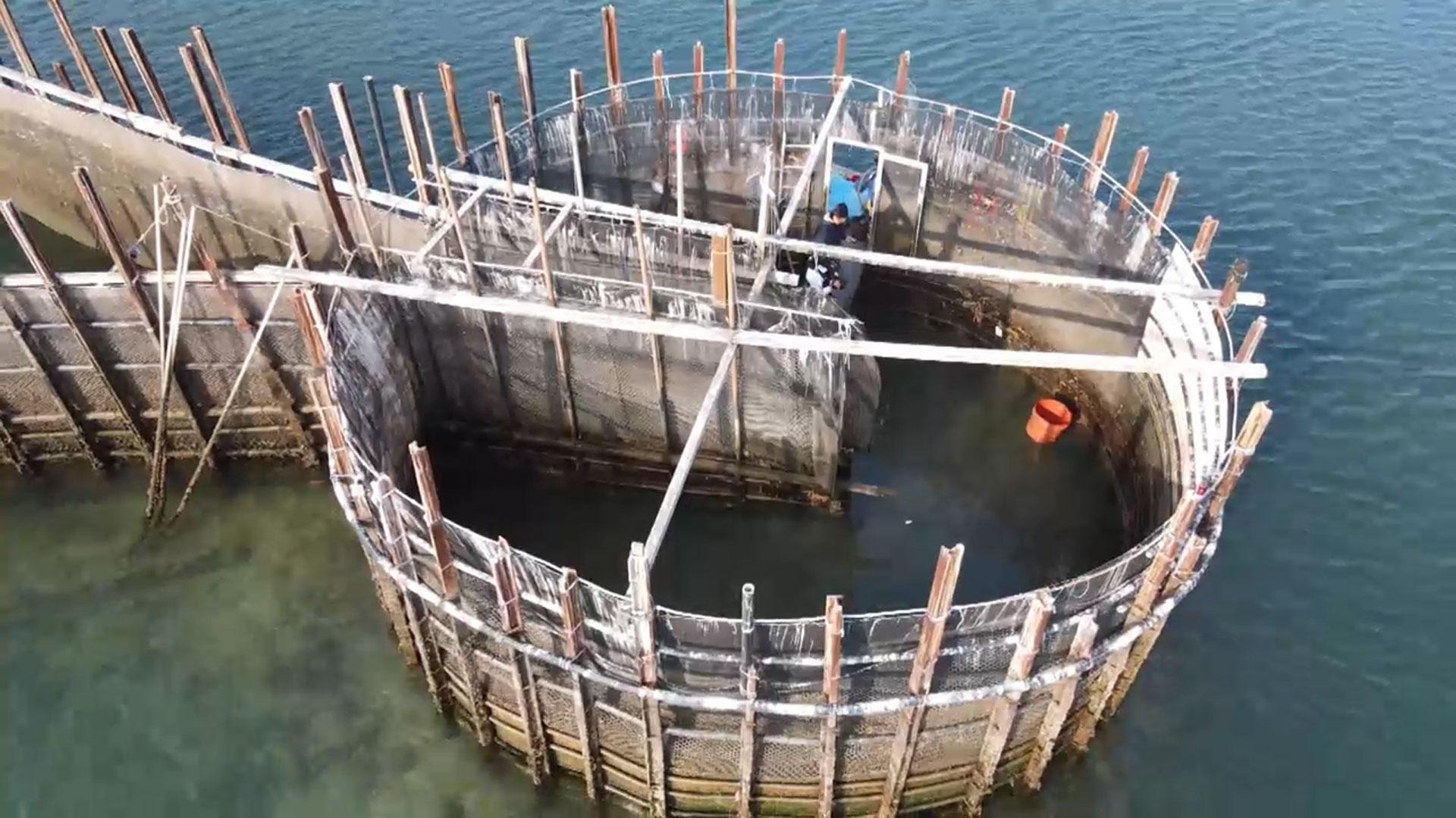 세계농업유산 '남해 죽방렴'…관광자원으로 꽃필까