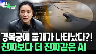 [씬속뉴스] "이것도 가짜라고?" 진짜 같은 폭우 영상, 알고 보니 또 AI…이대로 괜찮을까?