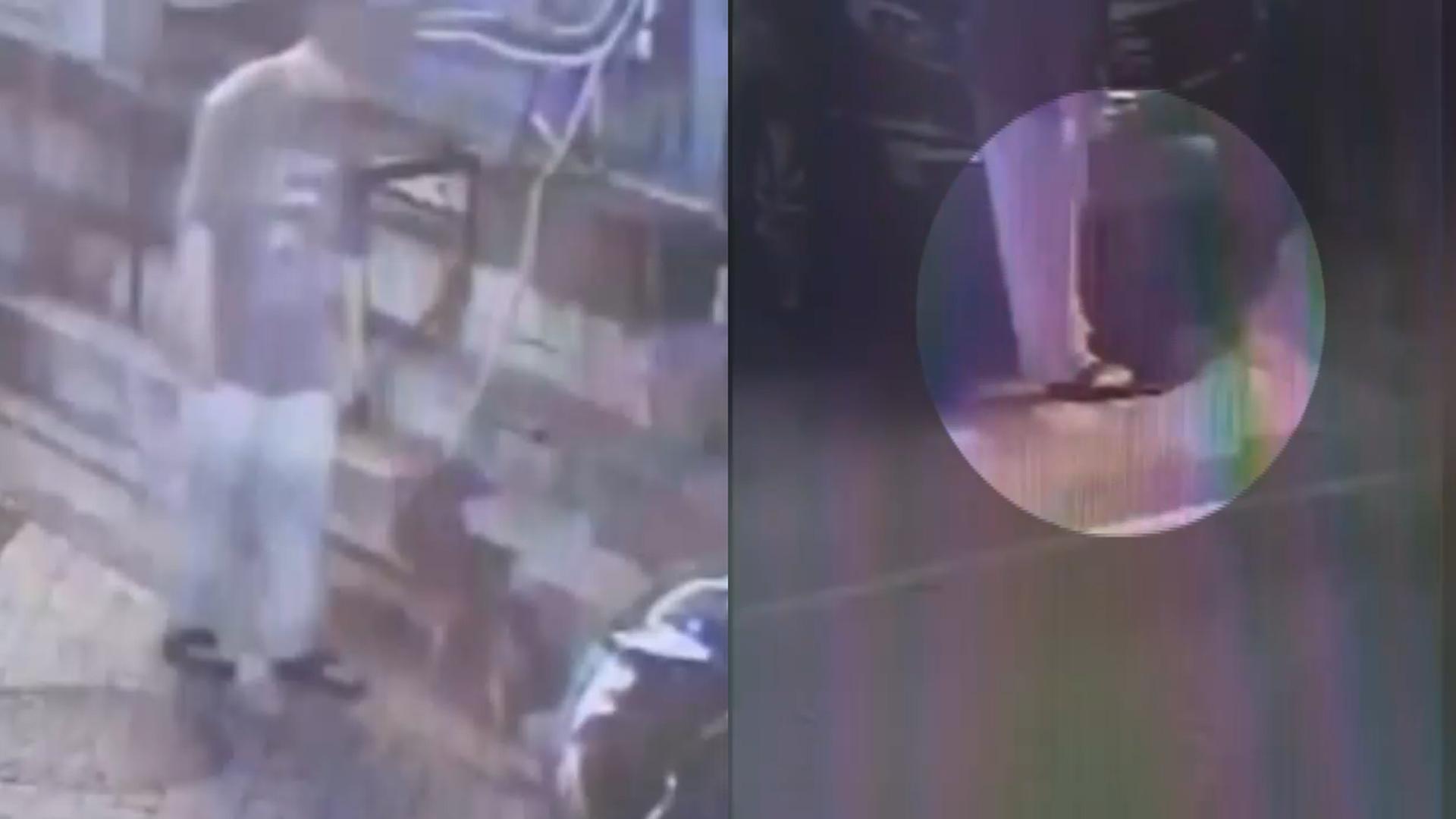 길온라인카지노 총판 벳위즈 고깔에 가두고 학대한 20대 송치…"손 할퀴어서"