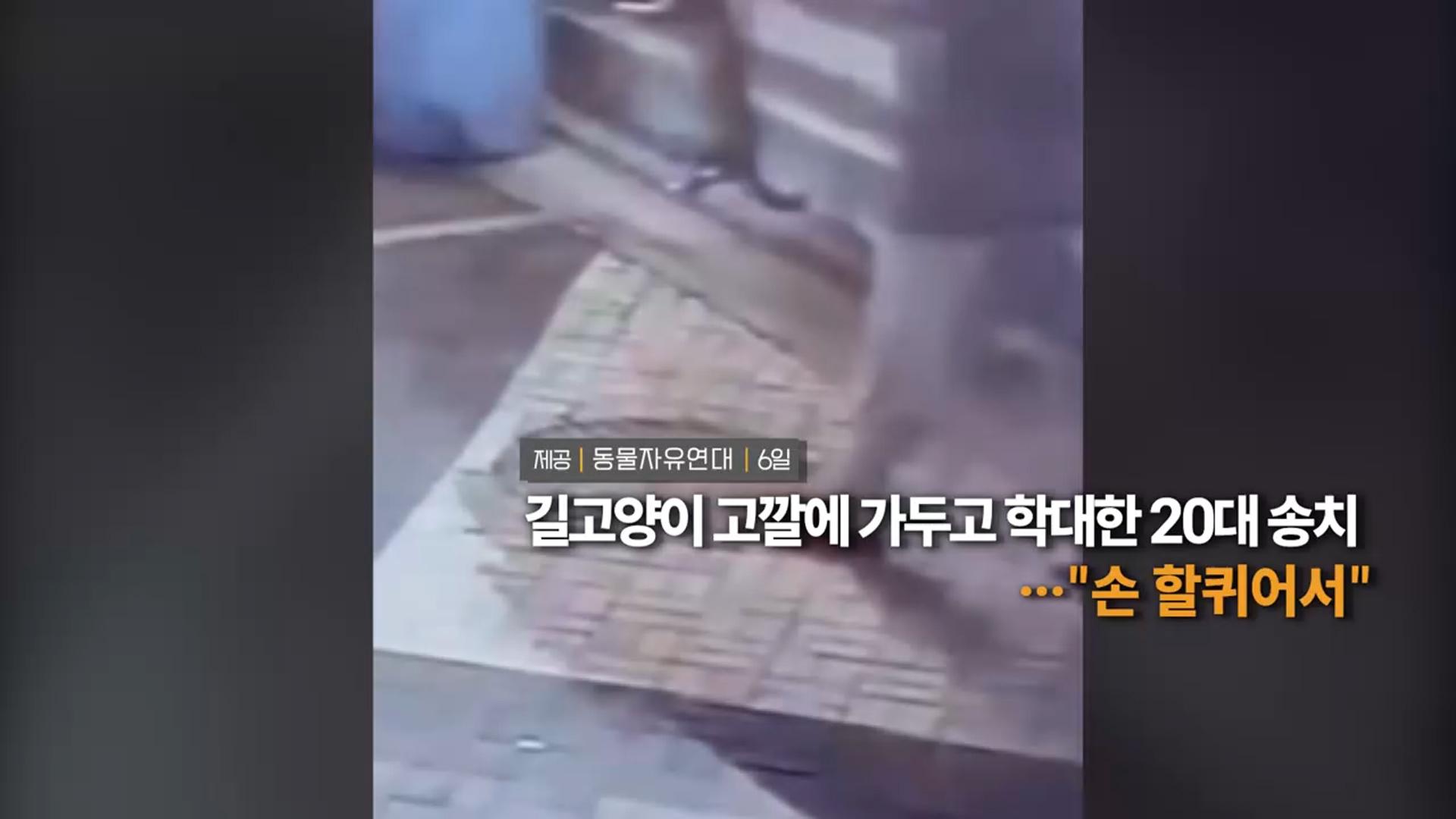 [영상구성] 길온라인카지노 총판 벳위즈 고깔에 가두고 학대한 20대 송치…"손 할퀴어서" 外