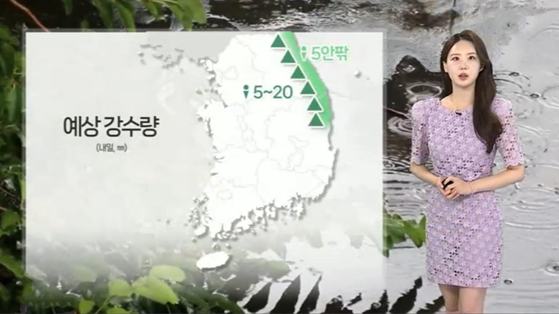 [날씨] 절기 '입추' 습한 무더위…남부 곳곳 폭염특보