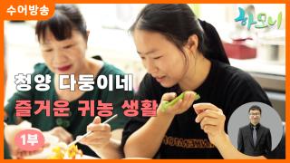 [하모니-수어] 청양 다둥이네 즐거운 귀농 생활 1부