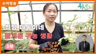 [하모니-수어] 청양 다둥이네 즐거운 귀농 생활 3부