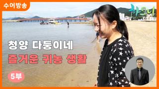[하모니-수어] 청양 다둥이네 즐거운 귀농 생활 5부